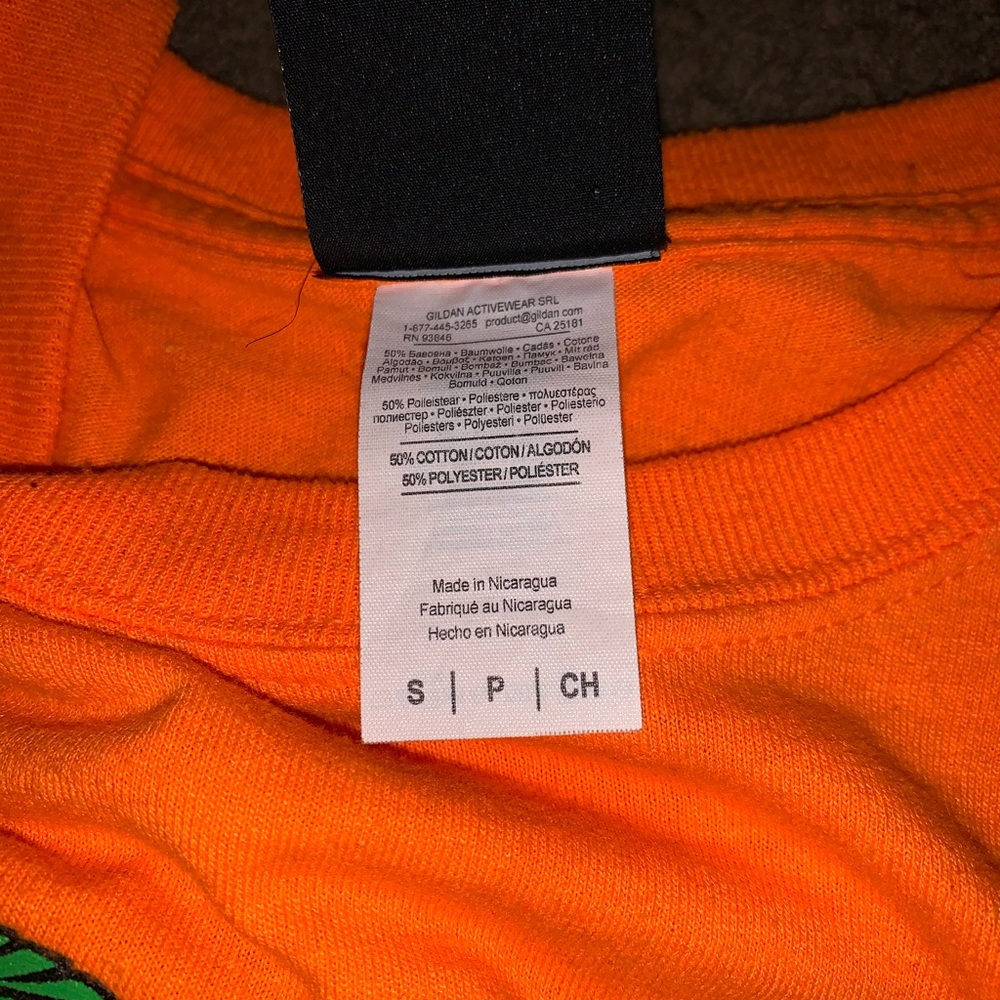 Orange thrasher